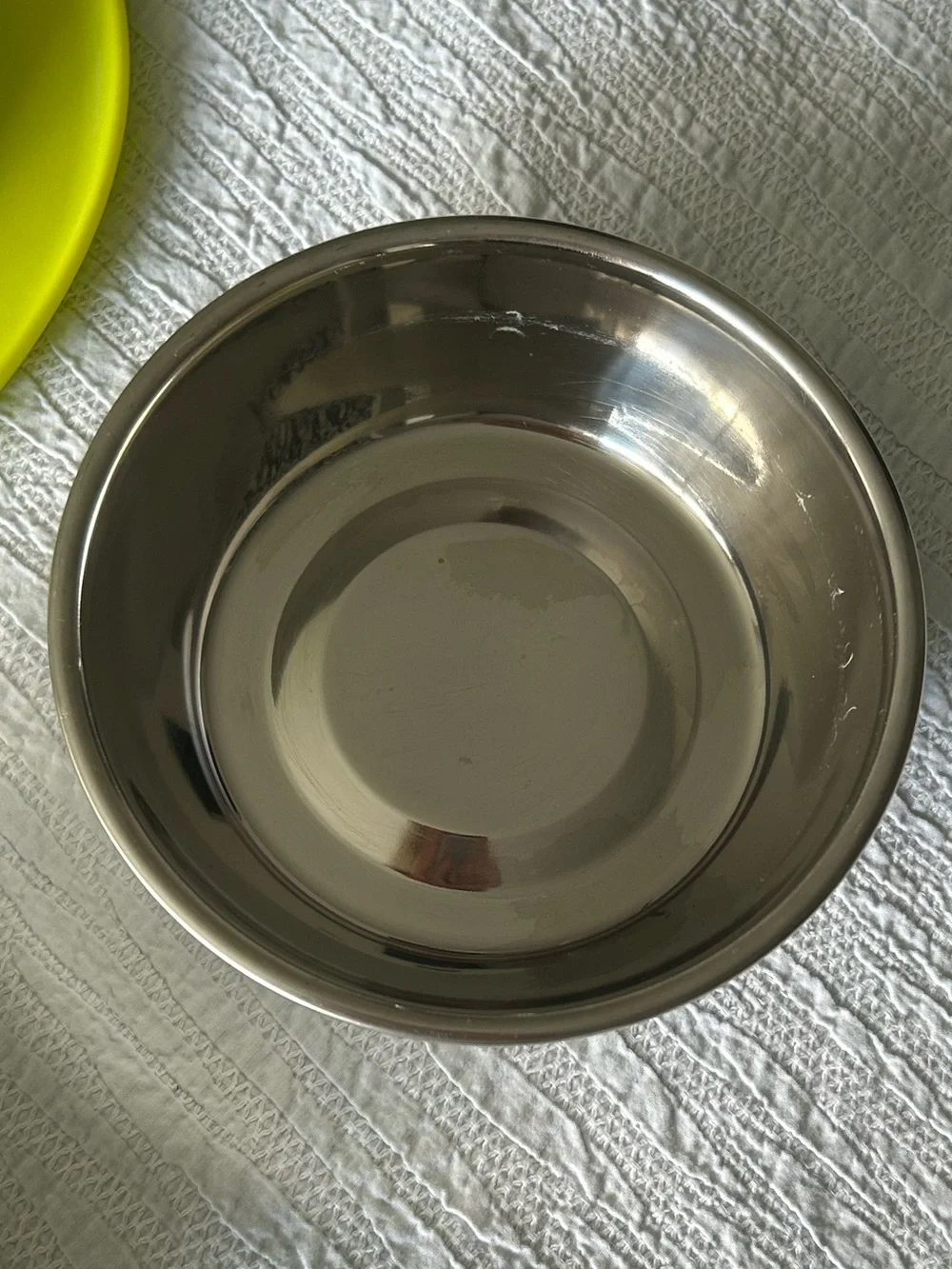 Mod -Double Stainless Steel Pet Bowls in Lime Yellow Stand